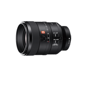 Sony SEL-100 F28 GM.SYX