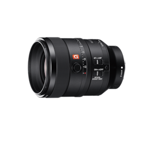Sony SEL-100 F28 GM.SYX