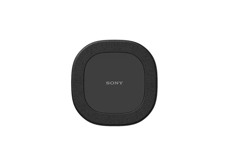 Sony SA-RS8.Z Rear Speaker