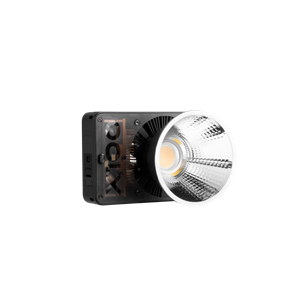 ZHIYUN MOLUS X100 BLACK