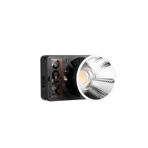 ZHIYUN MOLUS X100 BLACK