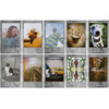 Fujifilm Instax Mini Stone Gray 10