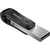 SanDisk USB-Stick 256 GB iXpand Flash Drive GO