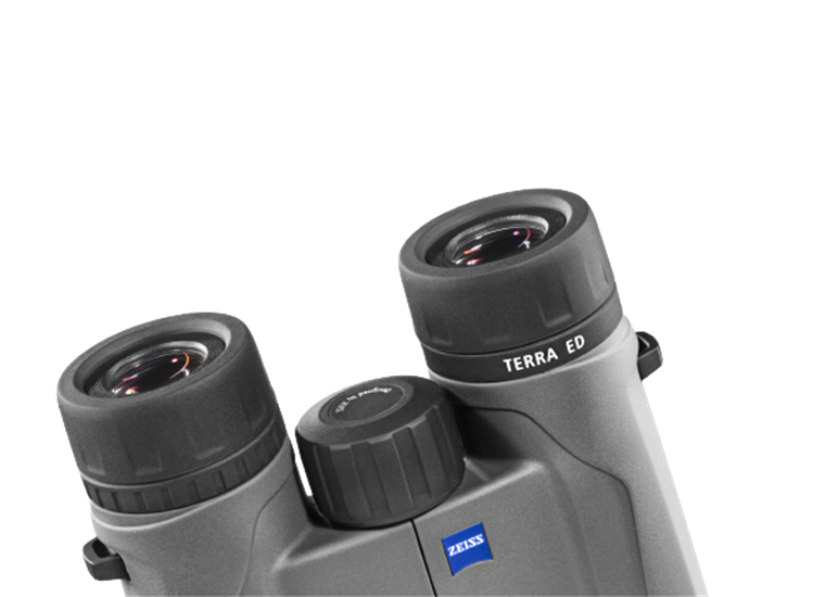Zeiss Terra ED 10x25 Fernglas schwarz grau