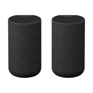Sony SA-RS5.CEL Rear Speaker