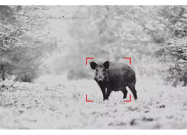 Zeiss DTI 1 Wärmebildgerät