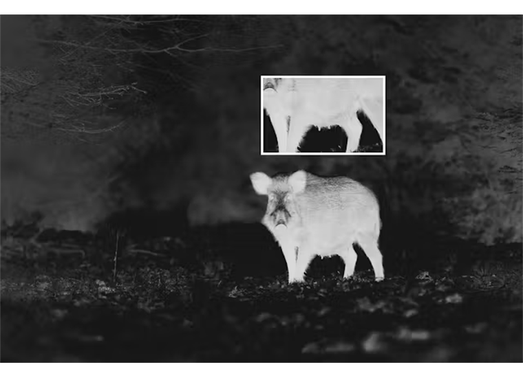 Zeiss DTI 1 Wärmebildgerät