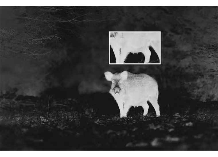 Zeiss DTI 1 Wärmebildgerät