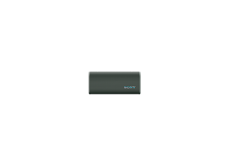 Sony SRS-ULT30/HC ForestGray BT-Wifi Lautsprecher