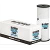 Ilford Delta 100 Professional 120 SW