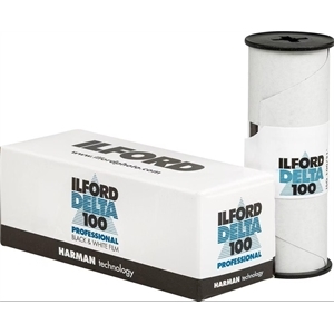Ilford Delta 100 Professional 120 SW