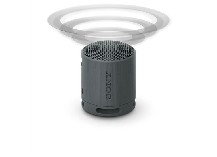 Sony SRS-XB100 B schwarz BT-Wifi Lautsprecher