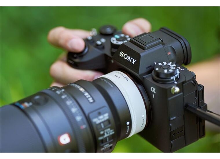 Sony SEL-100 M28 GM Makro