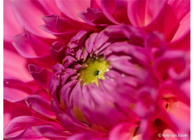 Sony SEL-100 M28 GM Makro