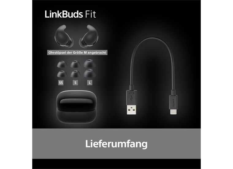 Sony WF-LS910 NB Link Buds Wireless-BT-Kopfhörer