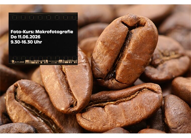 Sony Center Fotokurs: Makrofotografie