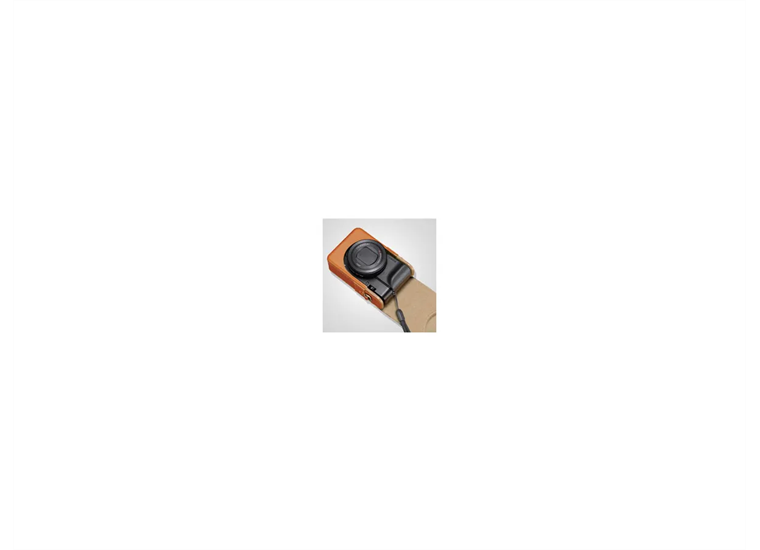 Sony LCS-RXG/T Gepolsterte Tasche DSC-RX100
