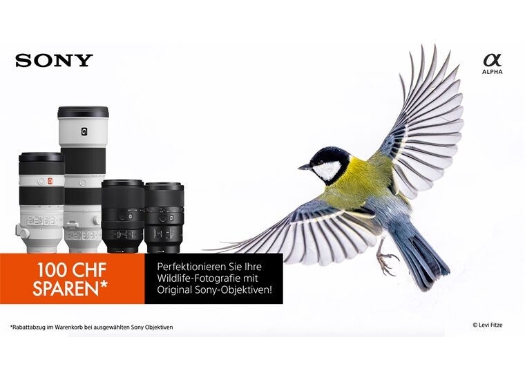 Sony SEL-70-200 G2 F4 Zoom-Objektiv