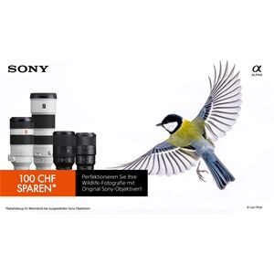 Sony SEL-70-300 F4,5-5,6 G Zoom-Objektiv Sony SEL-70-300 F4,5-5,6 G Zoom-Objektiv