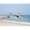 DJI Lito X1 Fly More Combo (DJI RC 2)