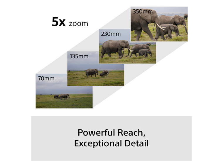 Sony ILCE-6700GBDI SELP1650 II + SEL70350G Wildlife-KIT