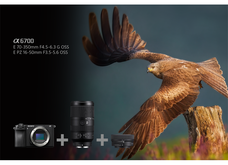 Sony ILCE-6700GBDI SELP1650 II + SEL70350G Wildlife-KIT