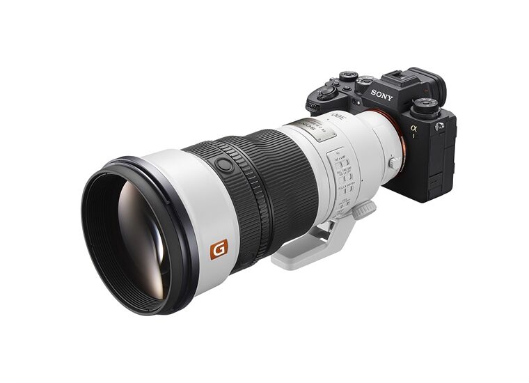 Sony SEL-300 F28 GM Vollformat