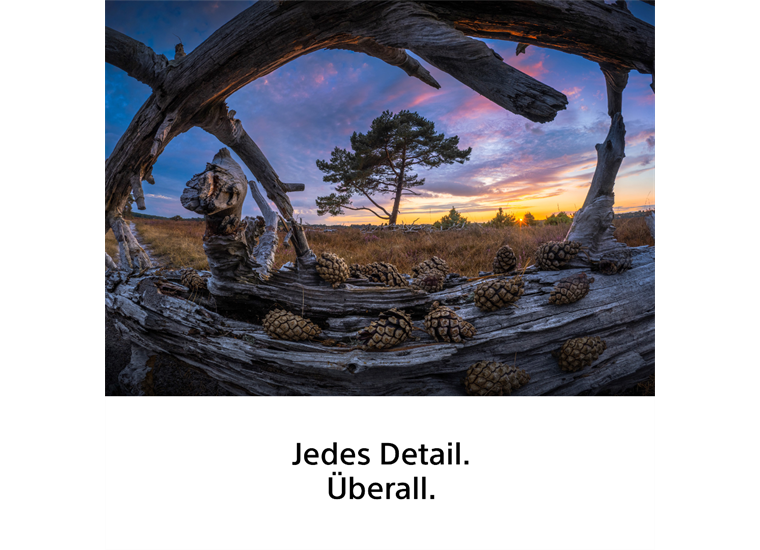 Sony SEL8-14F3.5G Fisheye-Zoomobjektiv