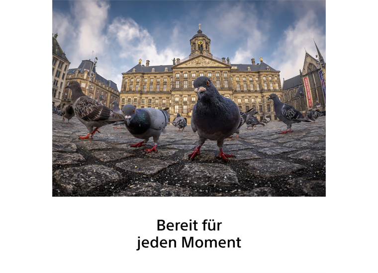 Sony SEL8-14F3.5G Fisheye-Zoomobjektiv