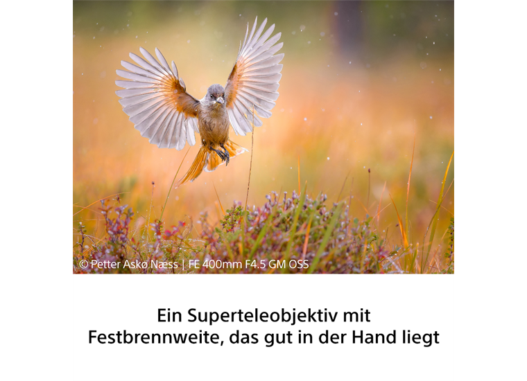Sony SEL400F45GM Superteleobjektiv