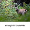 Sony SEL400F45GM Superteleobjektiv