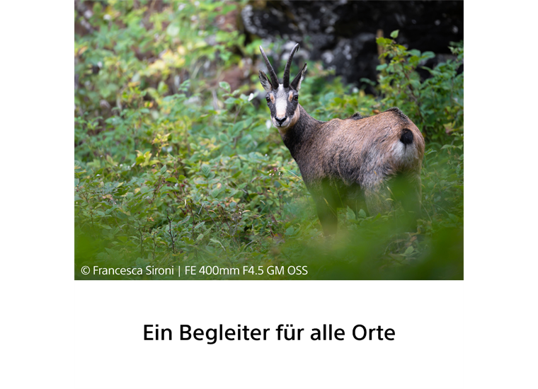 Sony SEL400F45GM Superteleobjektiv