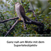 Sony SEL600F63GM Superteleobjektiv