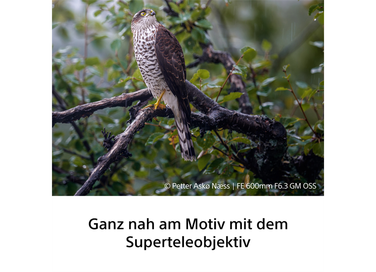Sony SEL600F63GM Superteleobjektiv