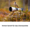 Sony SEL600F63GM Superteleobjektiv