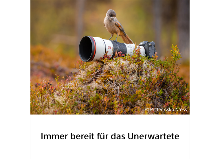 Sony SEL600F63GM Superteleobjektiv