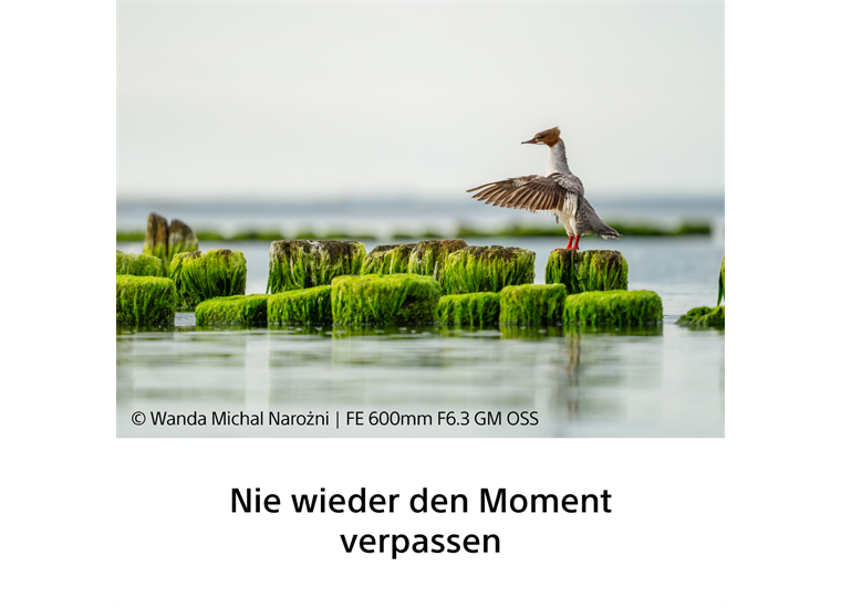 Sony SEL600F63GM Superteleobjektiv