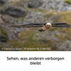 Sony SEL600F63GM Superteleobjektiv