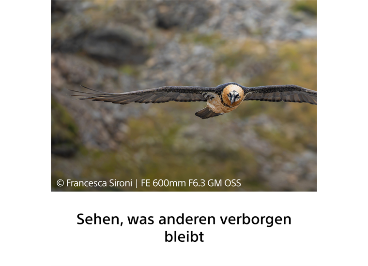 Sony SEL600F63GM Superteleobjektiv