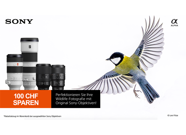 Sony SEL-70-350 F4.5/6.3 G OSS APS-C