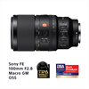 Sony SEL-100 M28 GM Makro