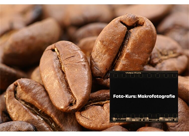 Sony Center Fotokurs: Makrofotografie